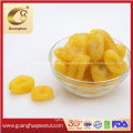 Hot Sales Dried Kumquat From China